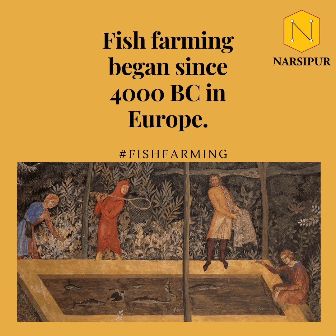 5 Main Aquaculture Hygiene Problems