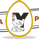 logos-black-border-e1709297254658