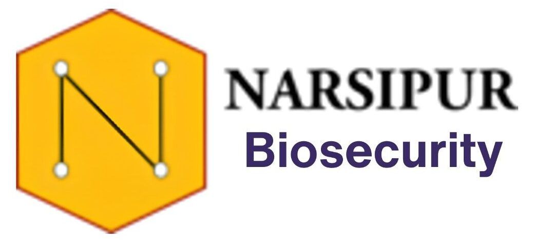 Narsipur
