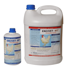 ENCIVET-WT-1024x1024